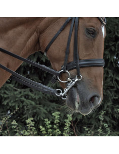 Sprenger KK Dressage Kandarstång Sensogan 2