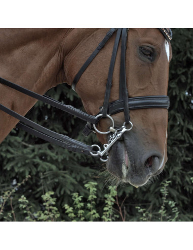 Sprenger KK Dressage Kandarstång Sensogan