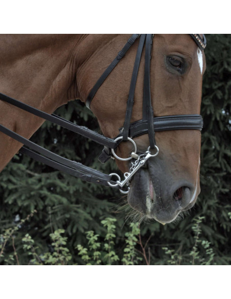 Sprenger KK Dressage Kandarstång Sensogan