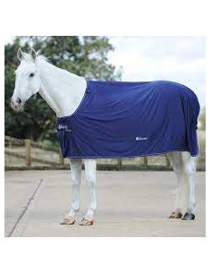 KRK Shamrock Power 2