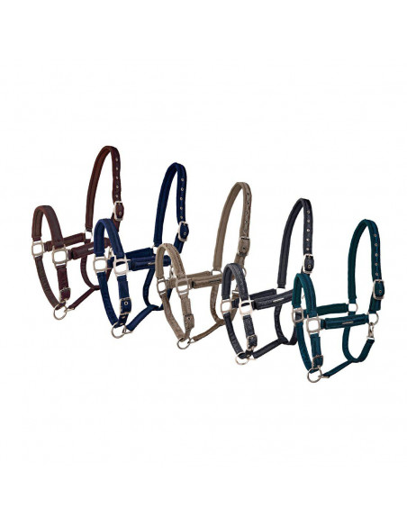 Lami-Cell Grimma Aurora