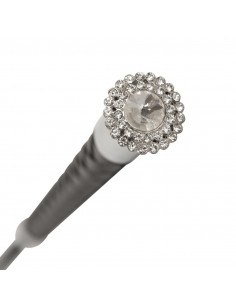 Dressyrspö med kristalltopp