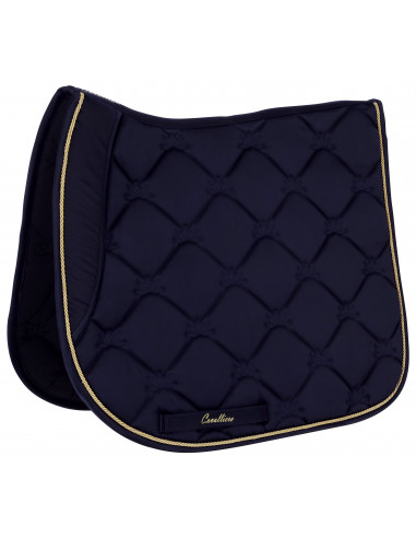 Covalliero Schabrak W2