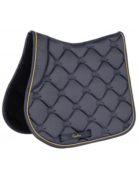 Covalliero Schabrak W2