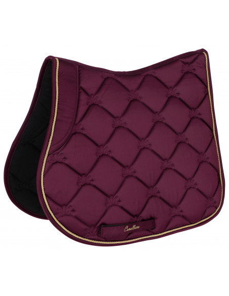 Covalliero Schabrak W2