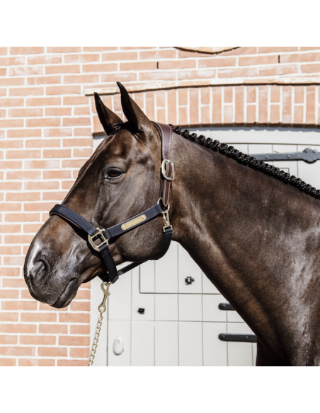 Kentucky Anatomic nylon halter