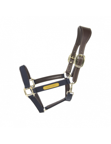 Kentucky Anatomic nylon halter