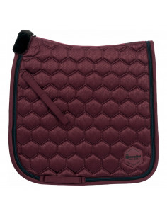 Cavallo Schabrak Hoshi 2