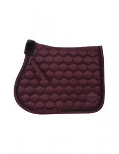 Cavallo Schabrak Cavalhoshi 2