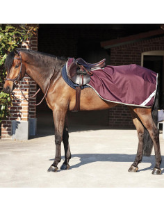 Amigo Ripstop Comp Sheet