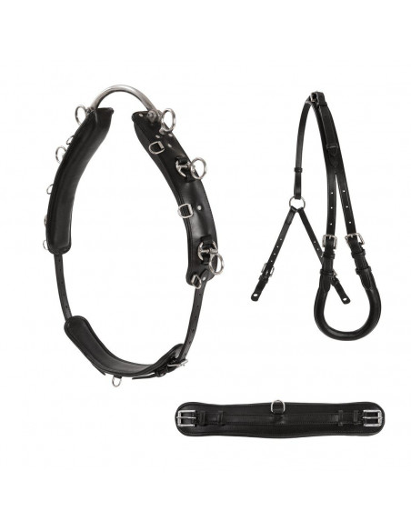 Lippo Basic Tömkörningsgjord Shetland/Ponny