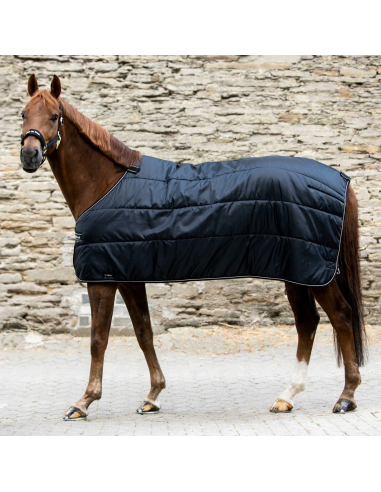 Back on Track Rhyolite Insulated Liner 100g