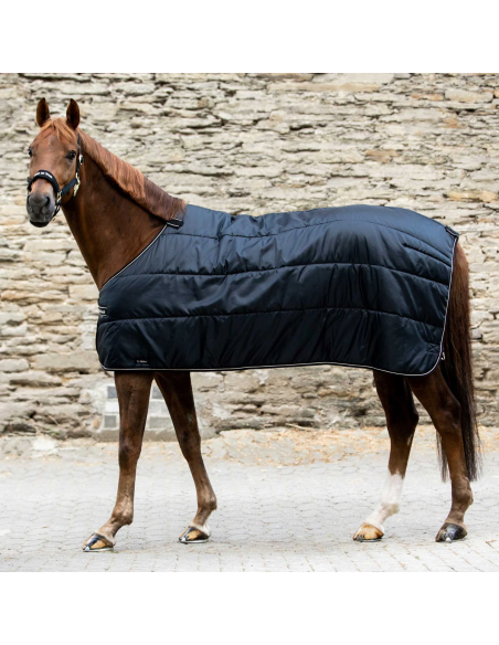 Back on Track Rhyolite Insulated Liner 100g