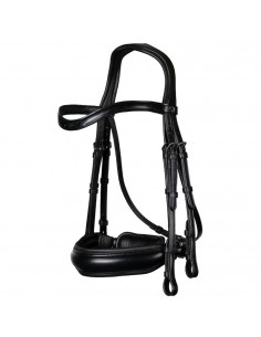 Dyón Kandar bred nosgrimma Dressage Collection 2