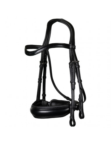 Dyón Kandar bred nosgrimma Dressage Collection