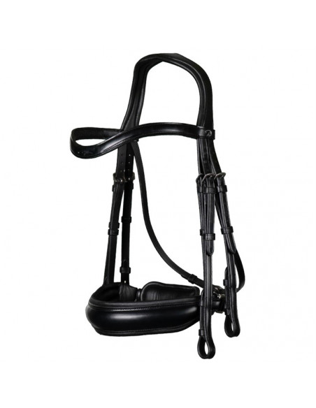 Dyón Kandar bred nosgrimma Dressage Collection