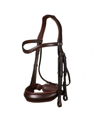 Dyón Kandar bred nosgrimma Dressage Collection