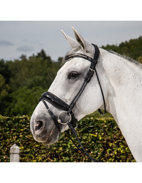 Dyón Rundsytt träns bred lackad pullbacknosgrimma Dressage Collection