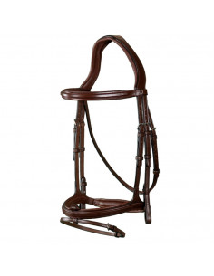 Dyón Träns kombinerad nosgrimma New English Collection 2