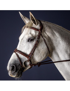 Dyón Träns kombinerad nosgrimma New English Collection