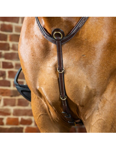 Dyón Brösta Dyón Collection