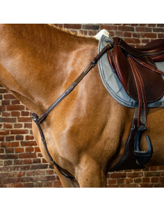 Dyón Brösta Dyón Collection 2