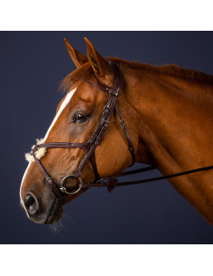 Dyón Träns mexikansk nosgrimma New English Collection