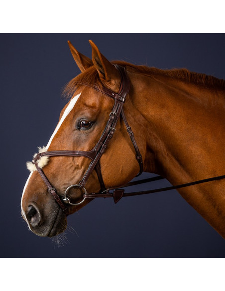 Dyón Träns mexikansk nosgrimma New English Collection