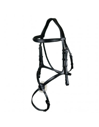 Dyón Träns mexikansk nosgrimma New English...