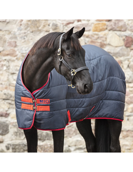 Mio Insulator Medium 150g