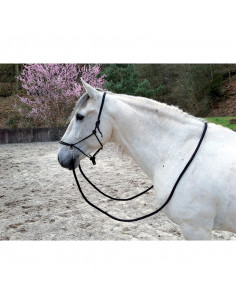 Ekkia Ridrepgrimma med tyglar