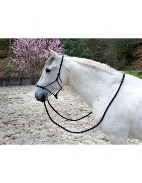 Ekkia Ridrepgrimma med tyglar