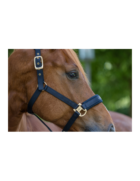 Covalliero Grimma Pastell