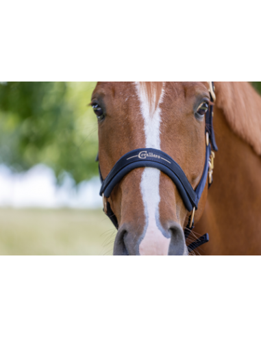 Covalliero Grimma Pastell