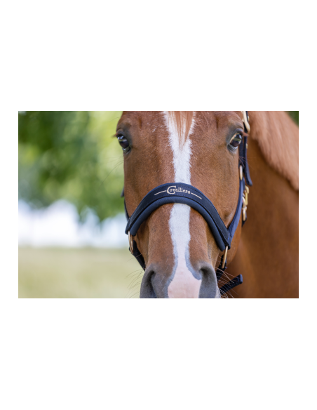 Covalliero Grimma Pastell