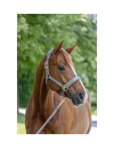 Covalliero Grimma Pastell