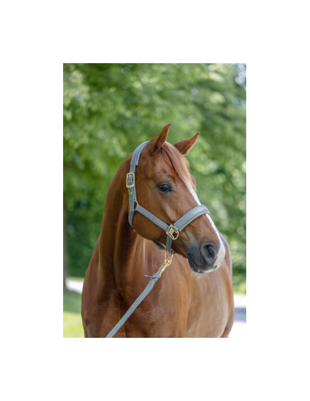 Covalliero Grimma Pastell