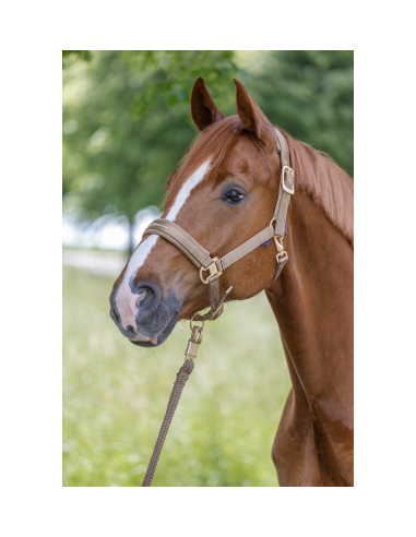 Covalliero Grimma Pastell