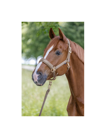 Covalliero Grimma Pastell