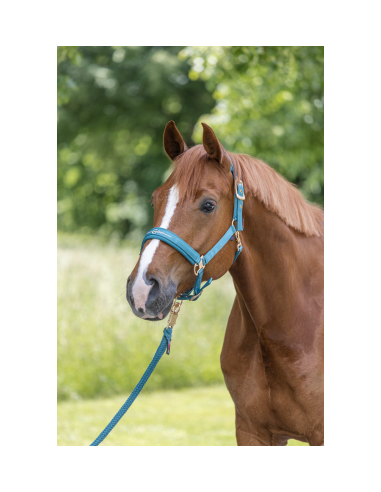 Covalliero Grimma Pastell