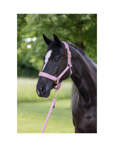 Covalliero Grimma Pastell