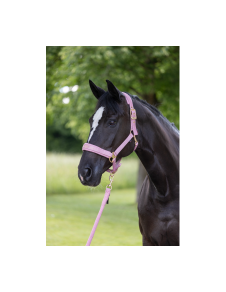 Covalliero Grimma Pastell