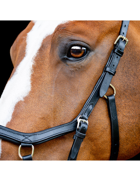 Horseware Rambo Micklem 2 Comp Bridle