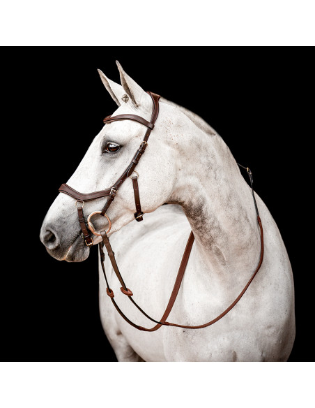 Horseware Rambo Micklem 2 Comp Bridle