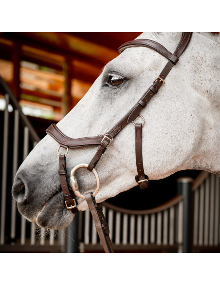 Horseware Rambo Micklem 2 Comp Bridle