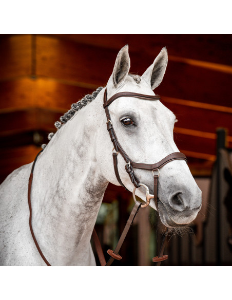 Horseware Rambo Micklem 2 Comp Bridle