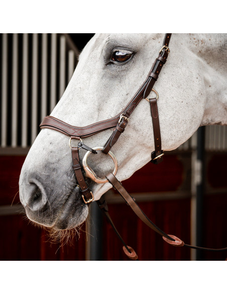 Horseware Rambo Micklem 2 Comp Bridle