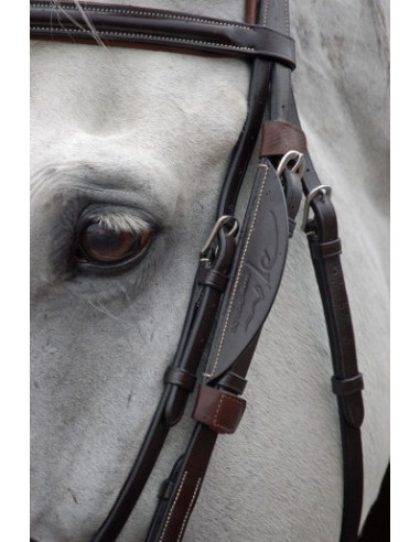 Dyon Fokus till sidstycken