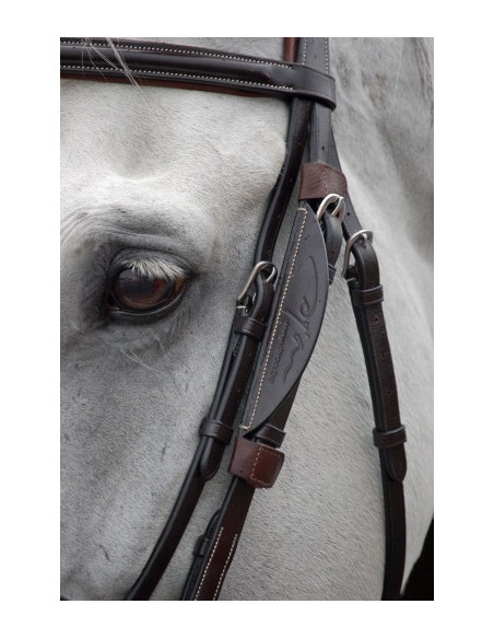 Dyon Fokus till sidstycken