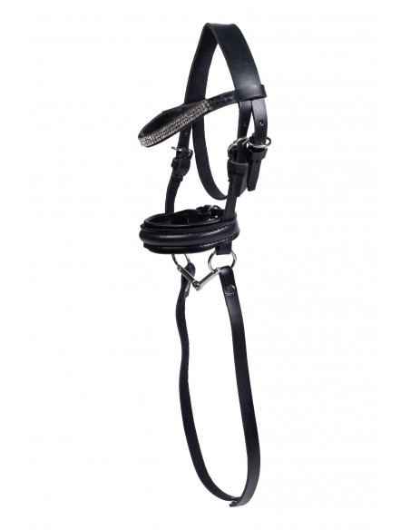 HKM träns till Cuddle Pony